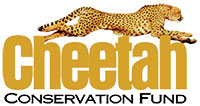 Cheetah Conservation Fund